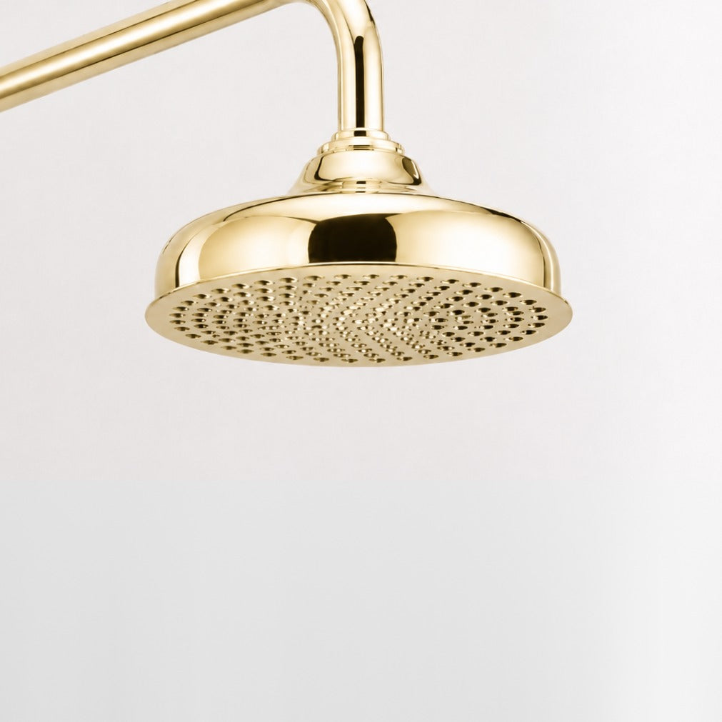 The Signature 8 inch Shower Head in Polished Brass
